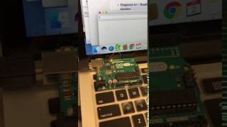 Using Serial.read to vary LED blinking Wealth