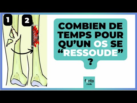How do bones heal and how long does it take?
