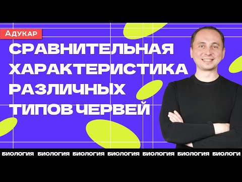 Биология | Сравнительная характеристика различных типов червей