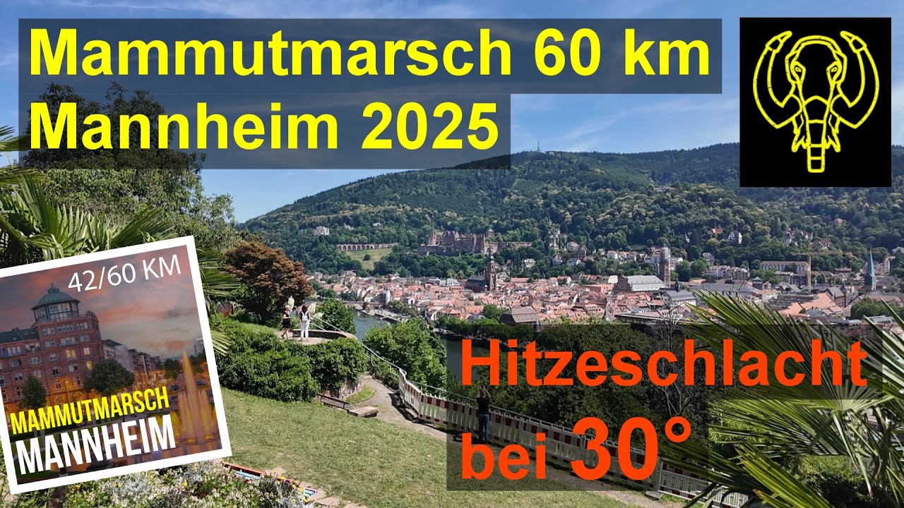 Mammutmarsch 60 km - Mannheim 2025 - Hitzeschlacht bei 30°