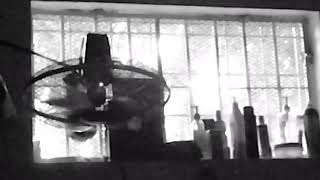 Branny - En La Nevera Video Oficial