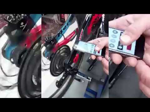 archer bike shop