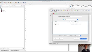 Scilab tuto : comment créer un script contenant des fonctions pour dessiner un coeur