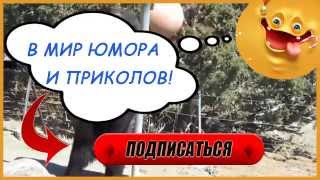 Приветствуем на канале "Приколы Жизни"! Приветствуем на канале "Приколы Жизни"!