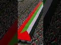 #like #support #palestine