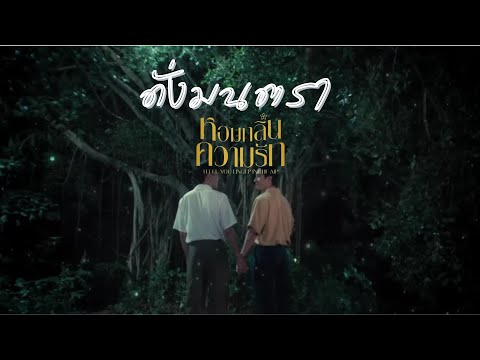 OPV | เพลง ดั่งมนตรา - แดน วรเวช | หอมกลิ่นความรัก | I Feel You Linger In The Air
