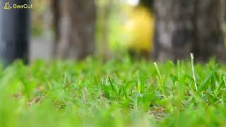 👉Early Hours - Ikson👈