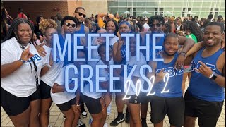 UTK ZETAS MEET THE GREEKS Prestigious Pi Epsilon Chapter 2022