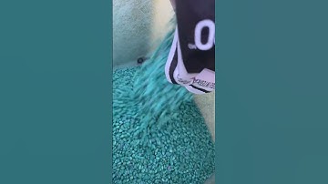 Today on the farm, filling the corn seeder #cornseed #seeds #farming #crop