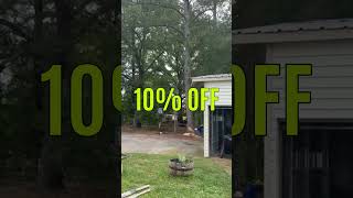 🌳That dangerous tree won't wait for you.⚠️ Remove it with our tree pruning.🪓
