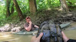 Large Alligator Snapping Turtle Hand Capture