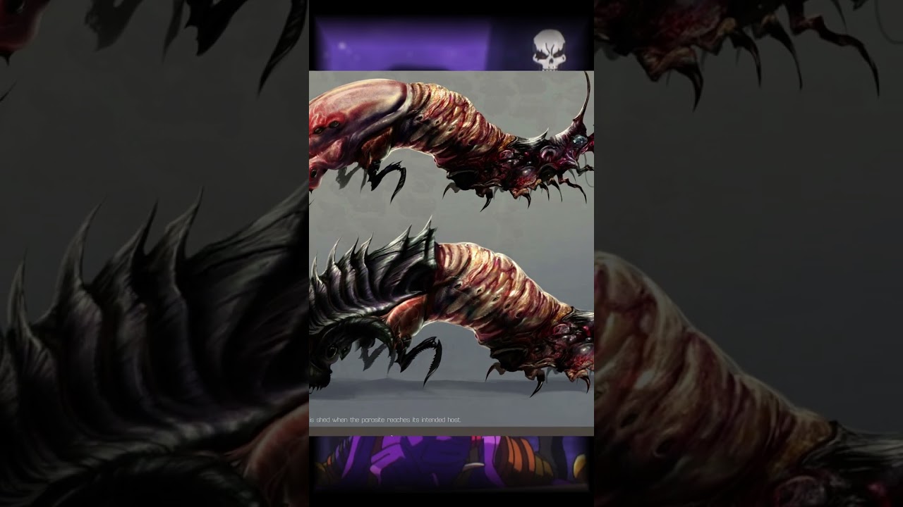 QUE LES PASÓ A IMINA Y ROBERDYCK????