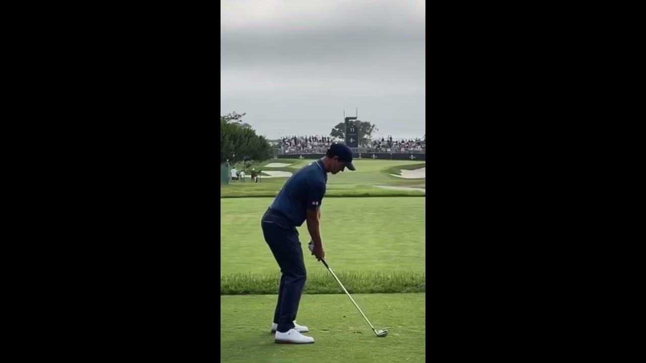 THE PERFECT GOLF SWING ADAM SCOTT