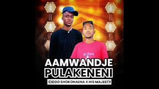 AAMWANDJE PULAKENENI (Official Audio)
