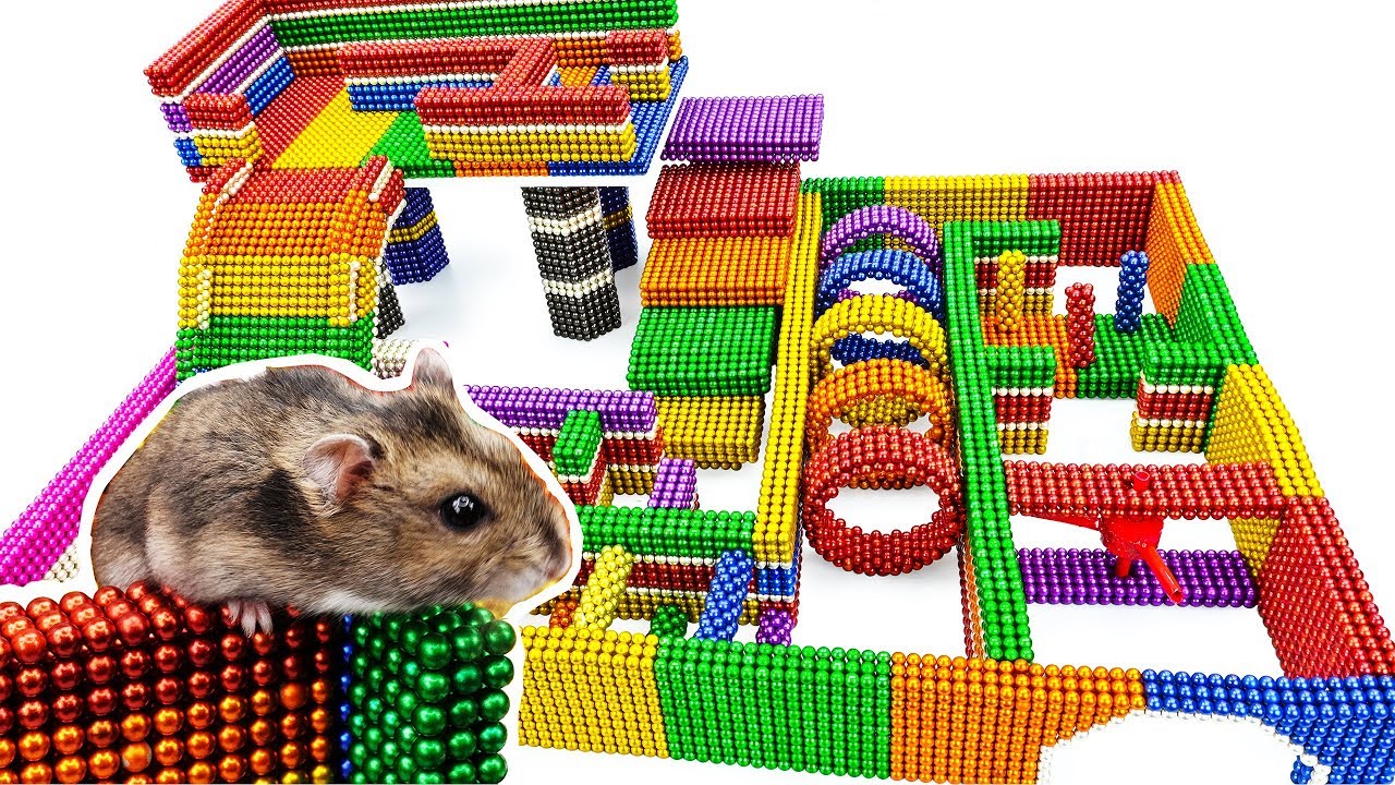 DIY - Build Amazing Maze Labyrinth For Hamster Pet With Magnetic Balls  (Satisfying) - Magnet Balls - YouTube