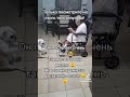 Он поступает очень умно 🤓 так же это очень весело 😄 но в тоже время опасно 😠