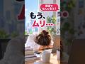 「もう、ムリ..」って英語でなんて言う？