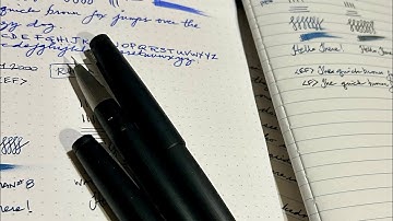 😱 Which one? LAMY 2000 EF or F Nib? A scary purchase