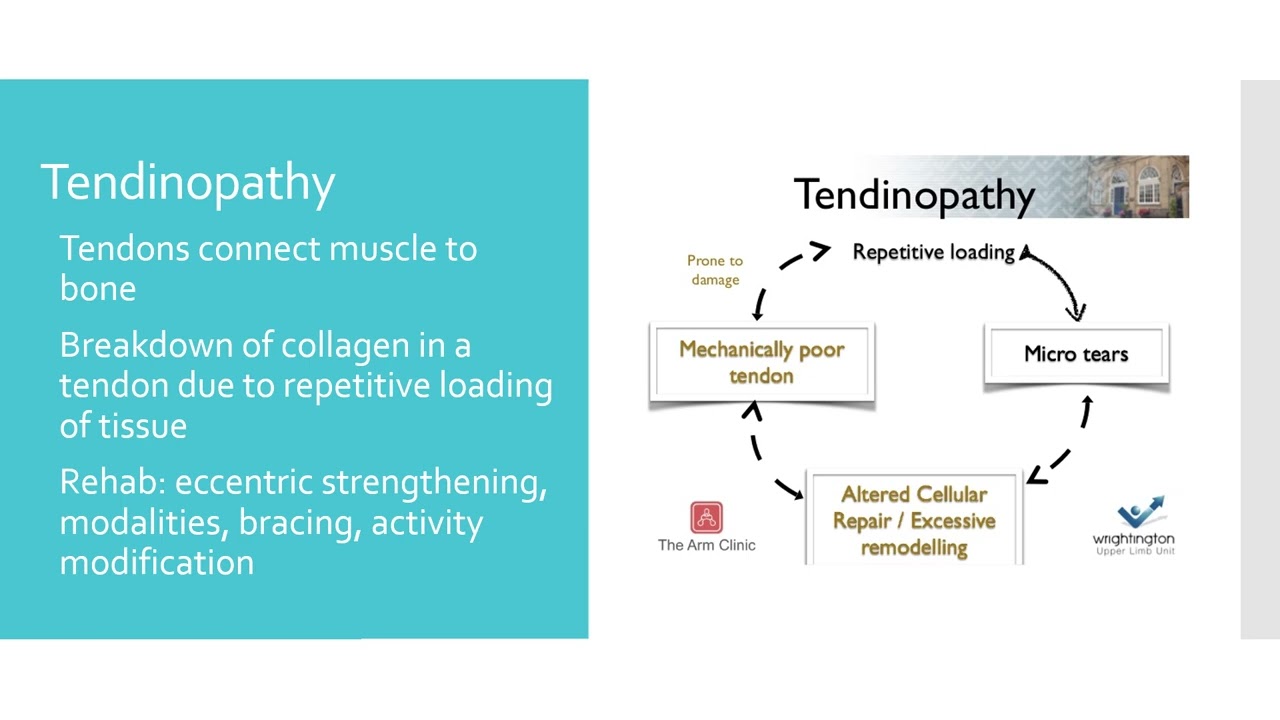 Tissue Response to Injury
