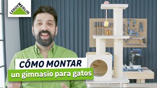 Cómo crear un gimnasio para gatos casero | LEROY MERLIN