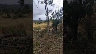 #Invasion of agricultural land
