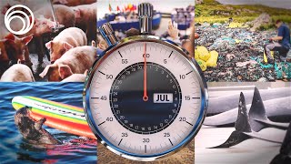 Amazon's 34% Deforestation Drop & Vegan Diet Impact on Greenhouse Gas Emissions | Month in a Minute