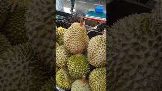 Download Lagu survei perdurenan disingapura #yukkulinerbareng MP3 Download Lagu survei perdurenan disingapura #yukkulinerbareng MP3