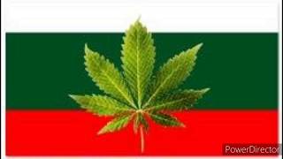 Momobg Probg Марихуана