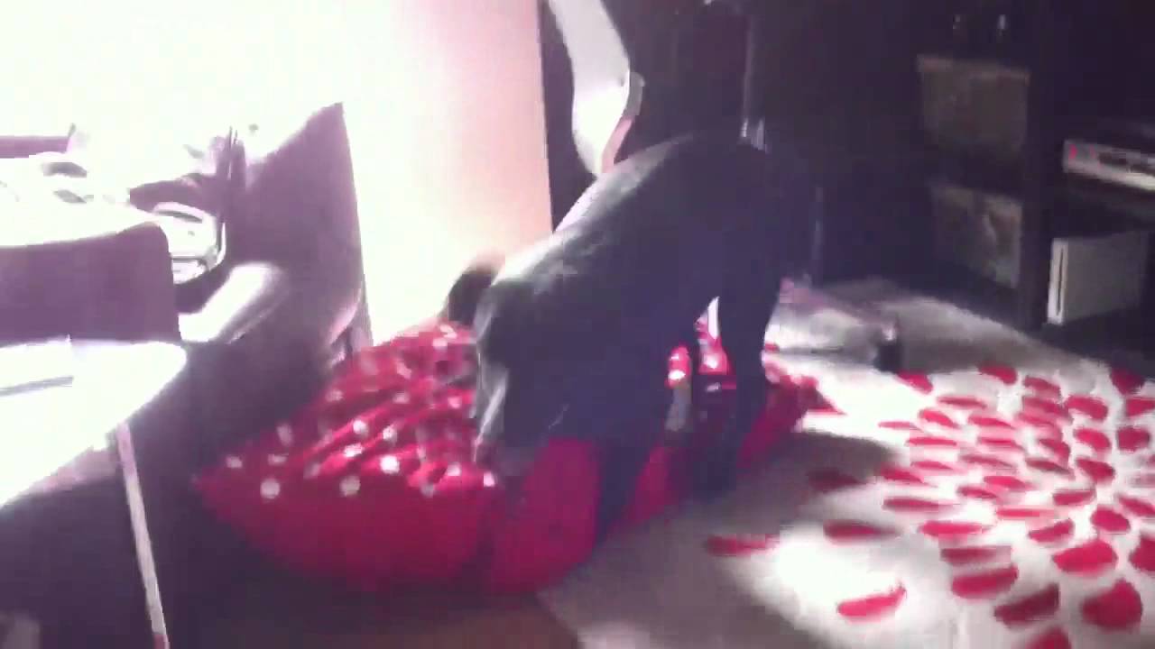 Mad five minutes - YouTube