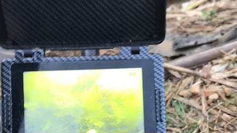 Vlog - câu cá bằng camera có gì vui