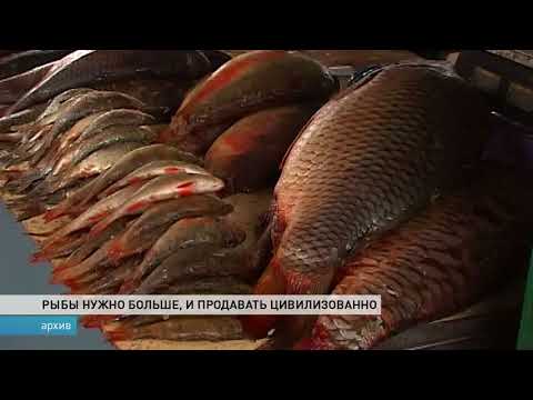 Условия выращивания рыбы