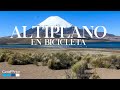 Altiplano Chileno en Bicicleta, Arica - GoPro - Octubre 2018 (Mauro).