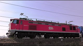 レッドサンダ-EF510-4牽引高速貨物【4K】信越本線下り4095レ