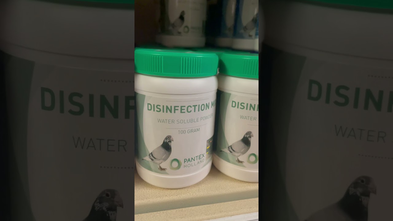 Pantex Disinfection Mix 100g YouTube