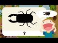 소리로 곤충 이름 맞추기 | 곤충 그림자 퀴즈 | 곤충 울음소리 | 한글단어