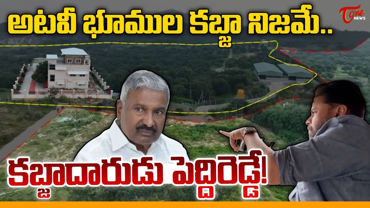 కబ్జాదారుడు పెద్దిరెడ్డే! | Pawan Kalyan On Peddireddy Ramachandra ...