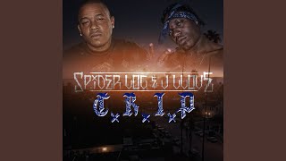 Real One (feat. Deisha & Baby Bo) - Spider Loc