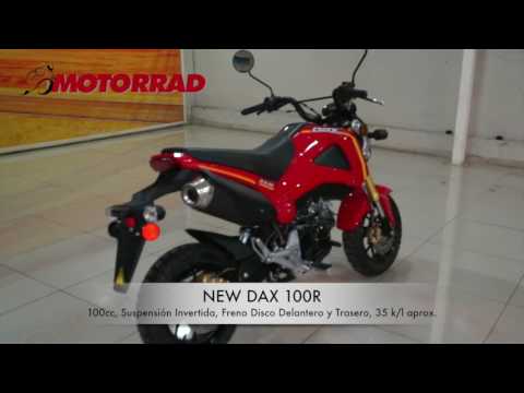 DAX 100R