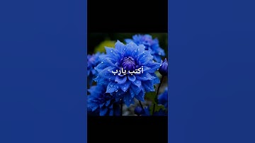 #اكسبلور محمد اللحيدان سورة الفرقان(61-77) #الرحمن