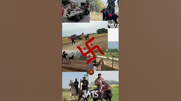 Jats 🥰 #shorts #jaat #jatt #jutt