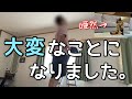 衝撃の事態に大騒動する猫と旦那氏