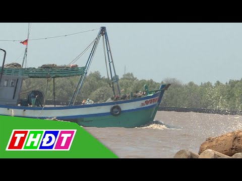 Video Tập 7: Cá đỏ dạ - hàng 