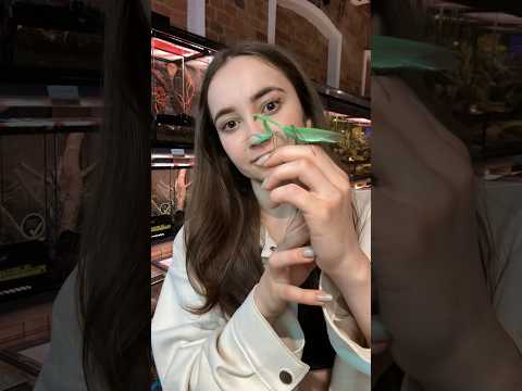 ФАН-ВСТРЕЧА?! 😱🤯 29 марта, Москва, Складочная 1с16 (с 11:00 до 22:00)!
