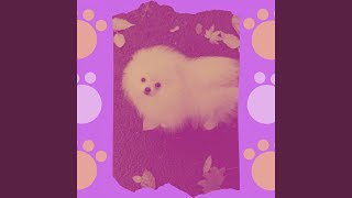 Simple Backdrops for Doggy Anxiety