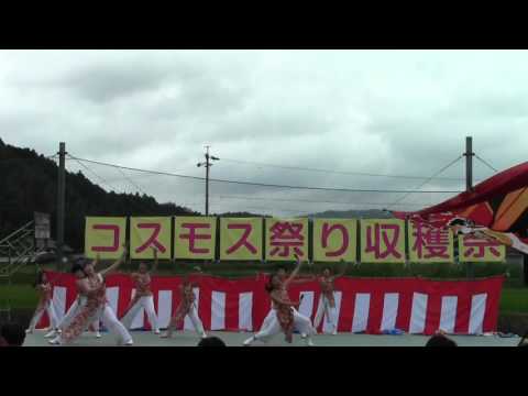 【FGP忍】オジー自慢のオリオンビール@2016比自岐コスモス祭り