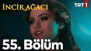 İncir Ağacı 55. Bölüm