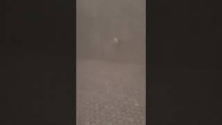 WHAT MAKES STEAM ROOMS TOO WET - 1 VS 2 STEAM HEADS - STEAMREVIEWED.COM