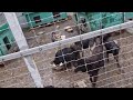 Наш переезд….