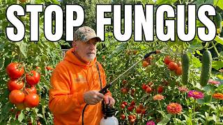 Organic Disease Control That Actually Works (Science vs. Myths)