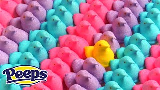 How Marshmallow Peeps Are Made Inside The Factory by TeCho 53,689 views 2 years ago 9 minutes, 39 seconds